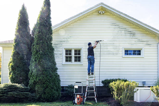 Roof Power Washing Services in Homerville, GA