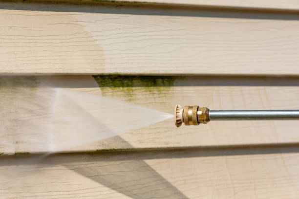 Best Roof Pressure Washing  in Homerville, GA